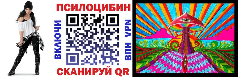 блэк спрут зеркало  Кемерово  Галлюциногенные грибы Psilocybe 